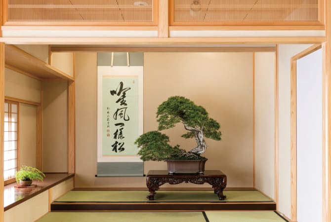 Omiya Bonsai Art Museum, Saitama
