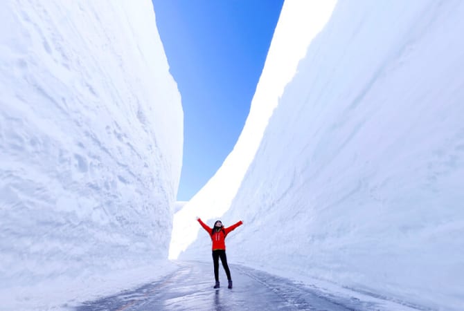 Explore the magnificent scenery along the Tateyama Kurobe Alpine Route, starting from Muslim-friendly Toyama