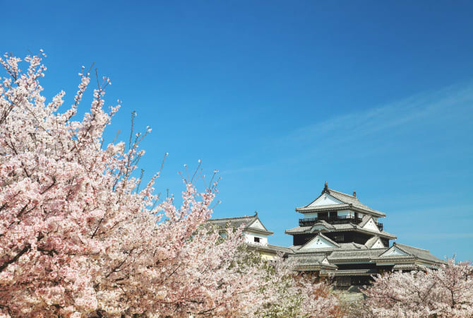 Exploring Matsuyama: Retro-Modern Design Meets Art and History