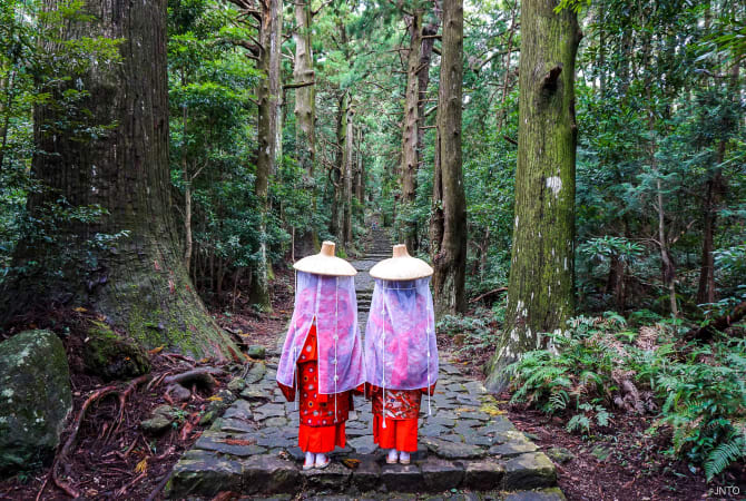 Day2: WAKAYAMA