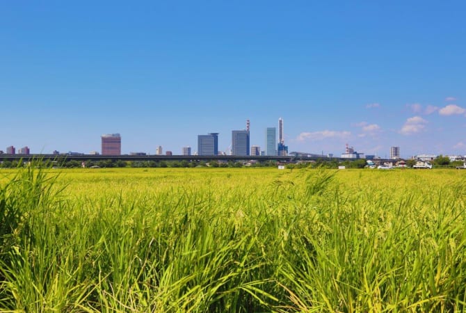 Traditional Saitama City