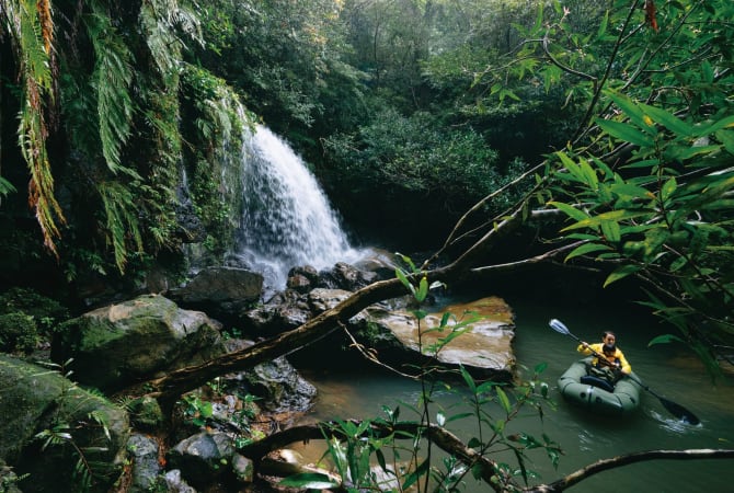 Iriomote Dschungelflussfahrt