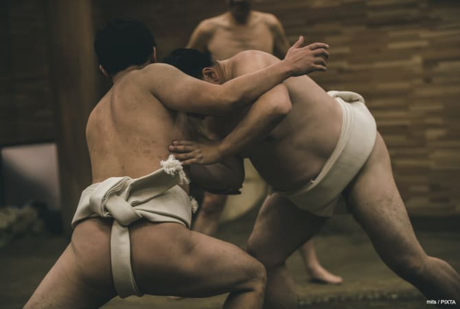 Sumo-Training Ansehen