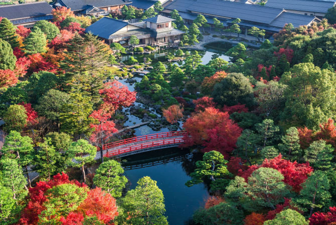 Yuushien Garden Illuminations