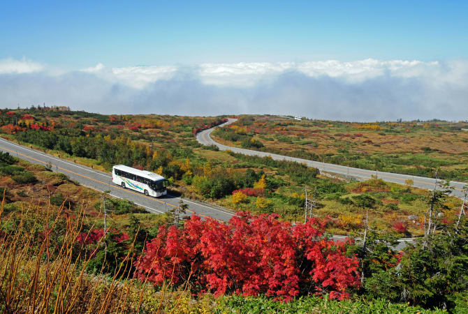 Tateyama Kurobe Alpine Route, Toyama & Nagano