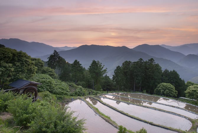 Find Your Spiritual Side on the Kumano Kodo Trail