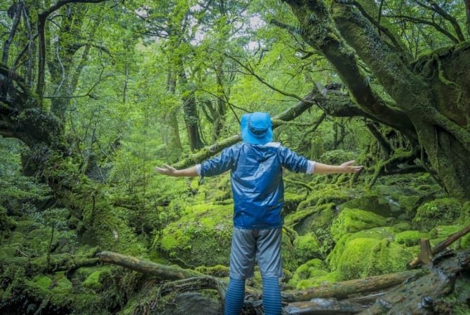 Kyushu (Yakushima)