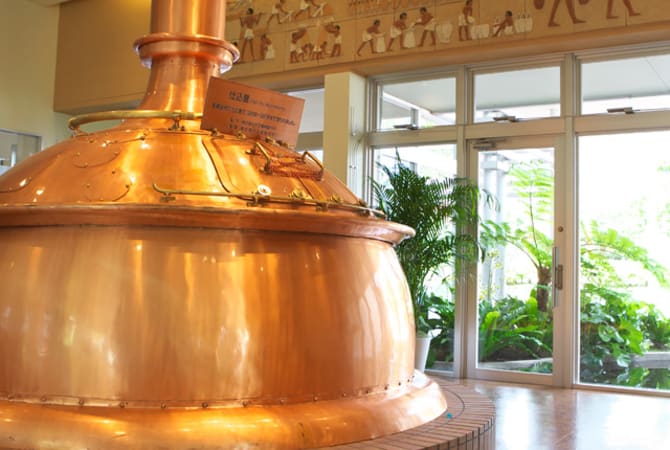 Orion Beer Brewery Tour in Okinawa