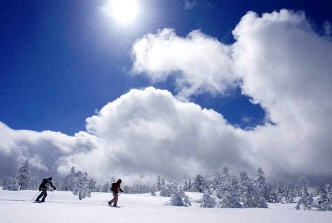 Shigakogen Yakebitaiyama Snow Resort