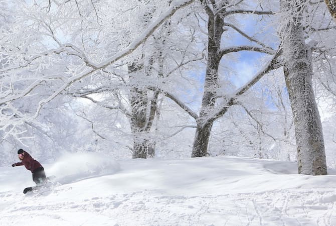 Nozawa Onsen