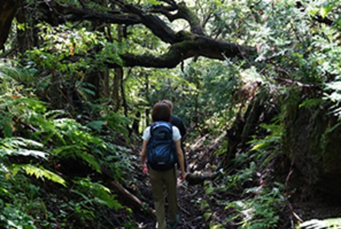 Zen Buddhist Pilgrimage in Yamadera