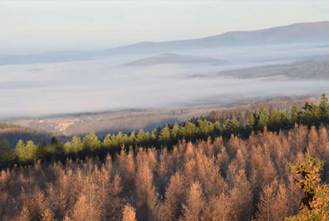Future City Foodways in Rural Japan [Adventure.Travel]