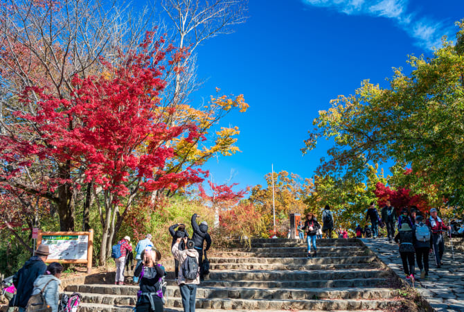 Mt. Takao