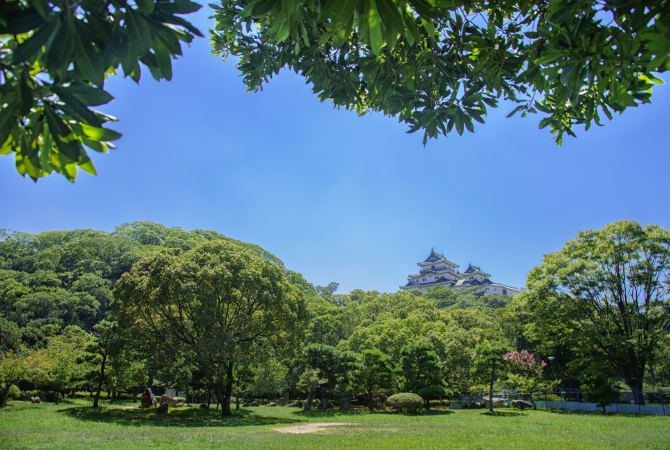 Wakayama City