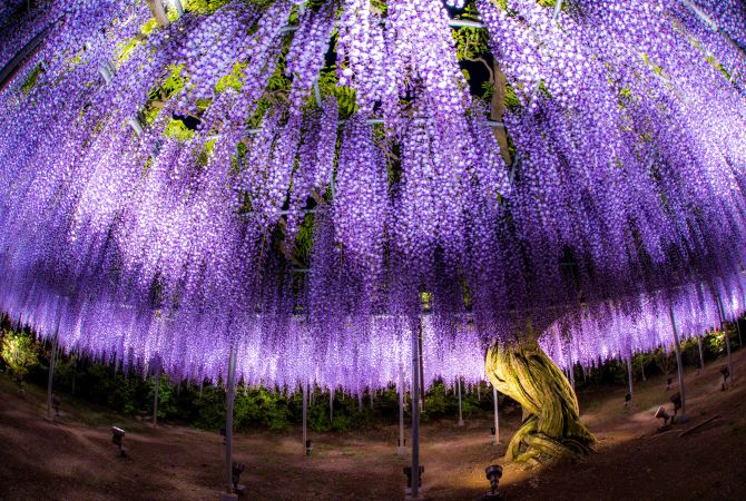 best places to visit japan april