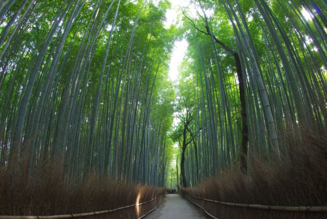 arashiyama tourist spots