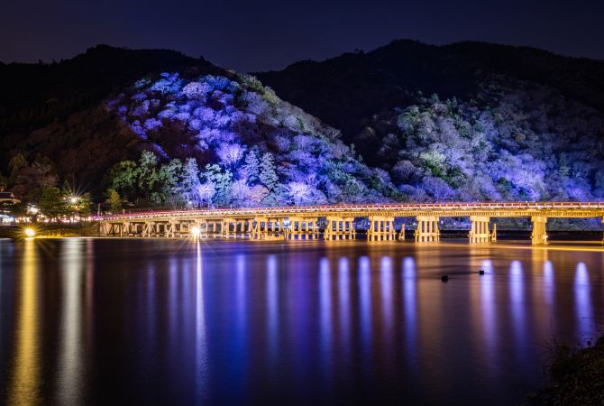 arashiyama bamboo grove visit