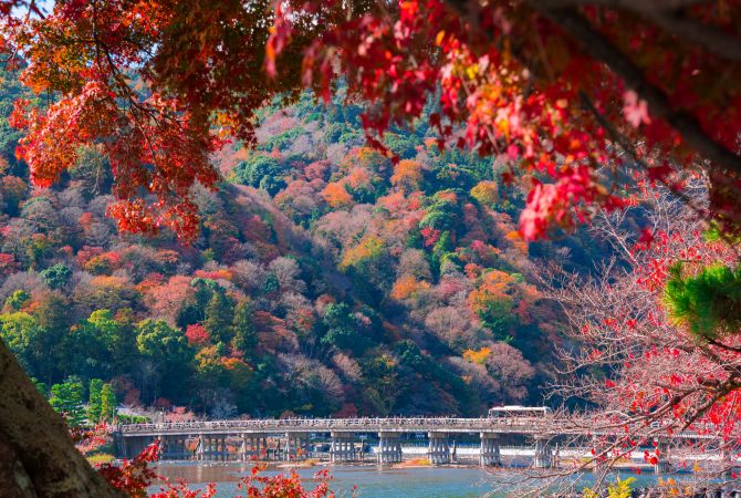 arashiyama bamboo grove visit