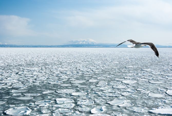 hokkaido drift ice tour