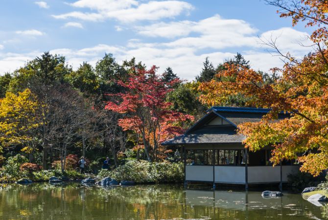 東京紅葉預測2023｜7大東京紅葉名所＋賞楓最佳時期 秋季限定絕美秘境！