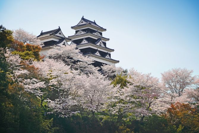 Ozu | Travel Japan - Japan National Tourism Organization (Official 
