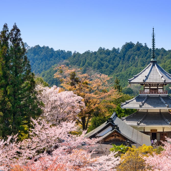 5 Lugares Romanticos De Japon Para Vivir Una Luna De Miel Inolvidable