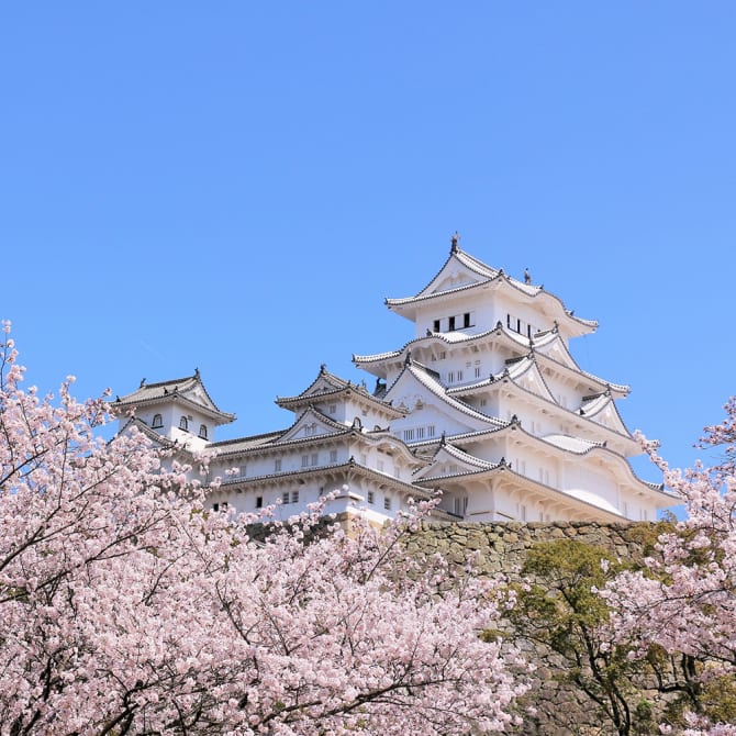 Follow the late-spring blossoms on the Nikko Kaido Cherry Blossom Trail