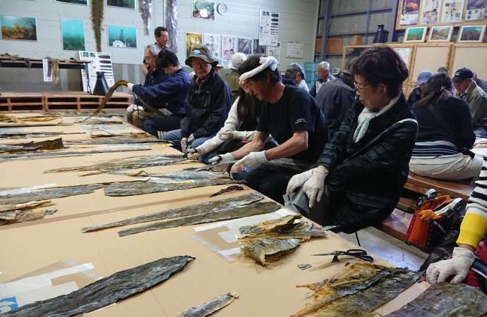 Kombu Kelp Harvesting & Cafe Kombu Lunch - Slow Travel HOKKAIDO