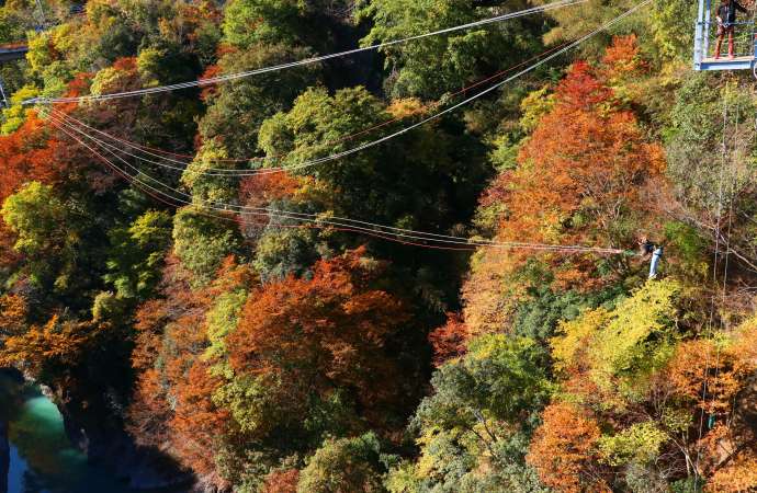 Chichibu Geo Gravity Park｜CHICHIBU QR TRAVEL GUIDE