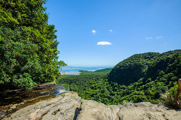 Hatoma Island, Barasu Island (formed entirely of coral) and the uninhabited Hatobanari Island are visible from the top of Pinaisara Falls