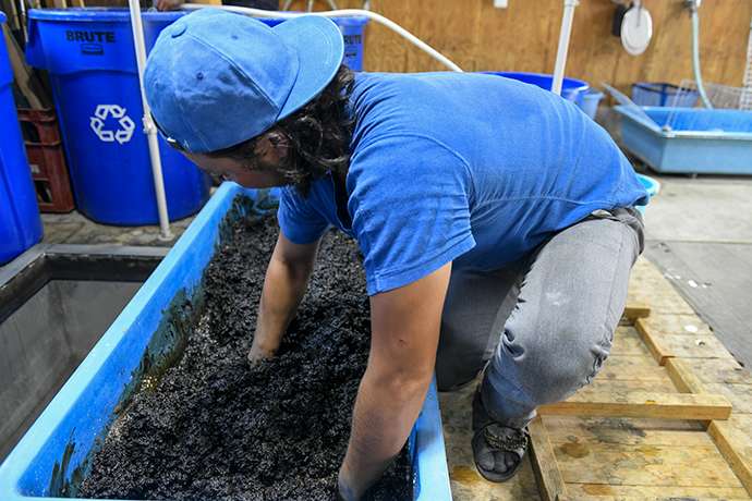 Exploring the Origins of Aizome―Traditional Indigo Dyeing