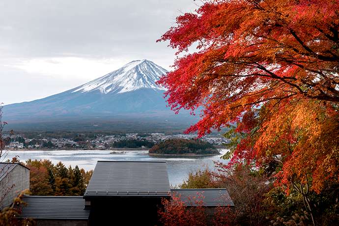 A view from the terrace during autumn.