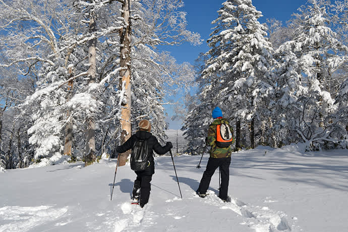 Explore the snow-blanketed forest on snowshoes.