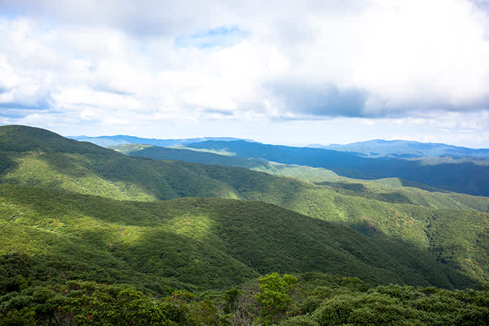 Mt. Yuwandake