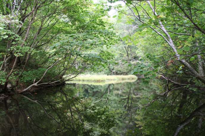 Otowa Pond