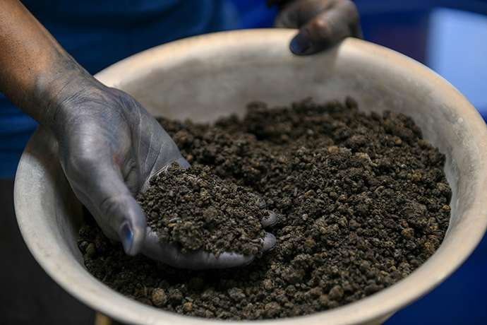 Japanese indigo plant leaves are fermented to produce sukumo—the base material from which indigo dye is produced