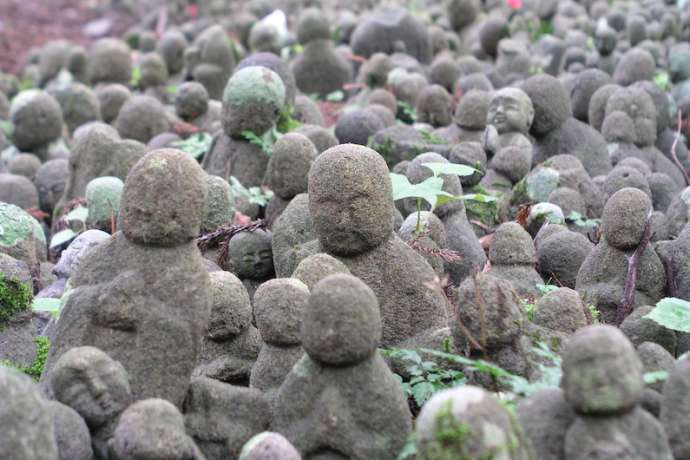 Pear Tree Jizo