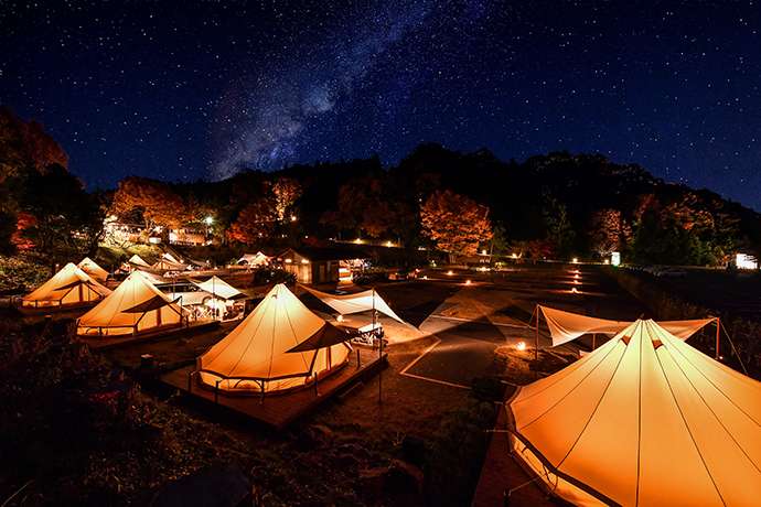 Stargazing at the Starry Sky Forest Camping Village.