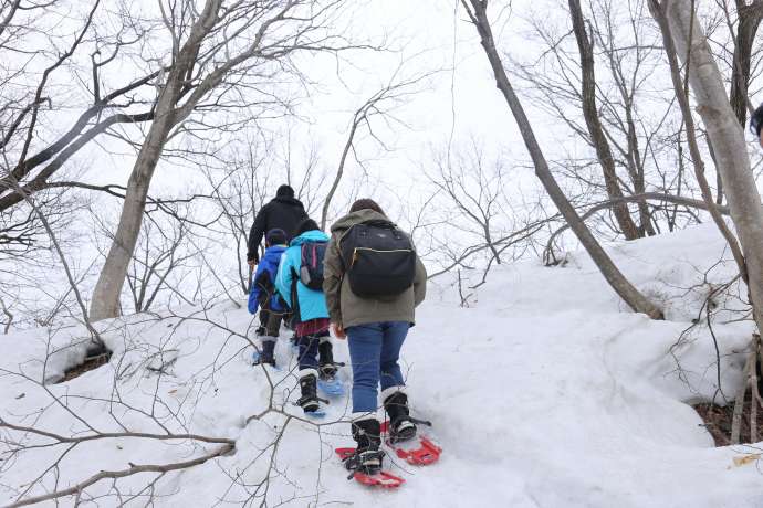 niigata tourist spot winter