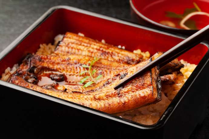 Unaju (grilled eel on rice)