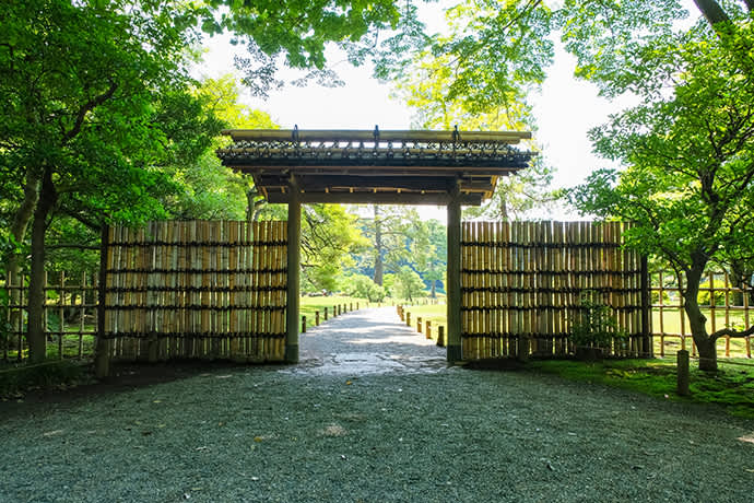 The garden extends out beyond the bamboo gate in the inner courtyard of Rikugien Gardens.