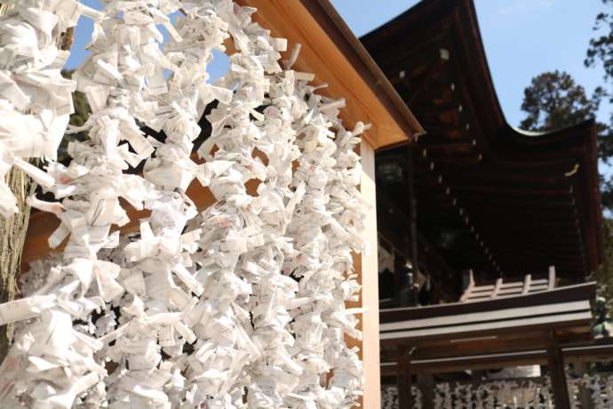 Omikuji tied to strings