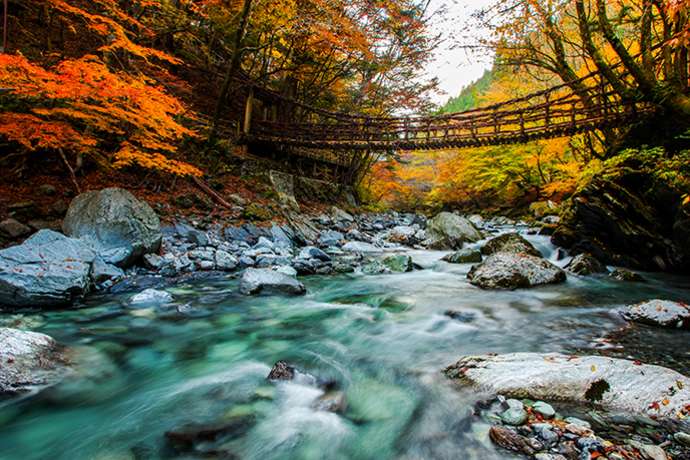 There is also a campsite near the Oku-Iya Double Vine Bridge.