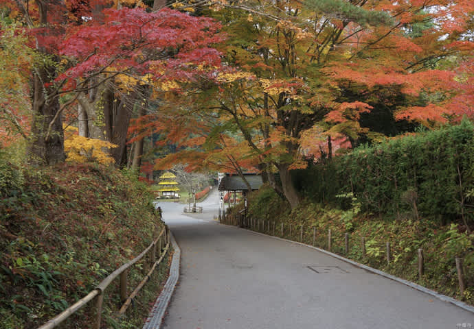 hiraizumi tourism