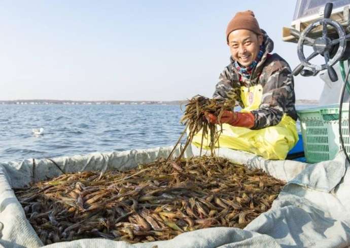 Shrimp Fishing in Hokkaido, Japan's Local Treasures