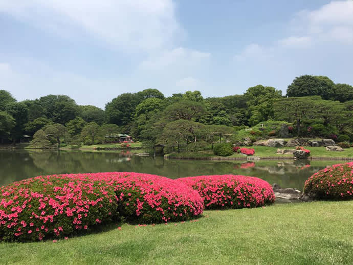 Makiko explains about some of the garden’s important scenic spots and how they relate to waka poetry.