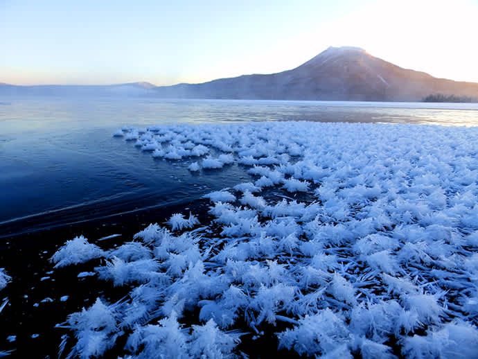 Ethereal frost flowers on the ice.