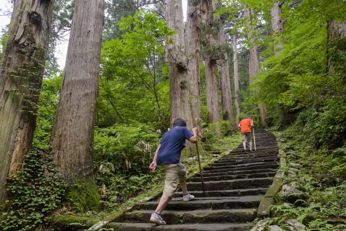 hikers climbing up mt. haguro
