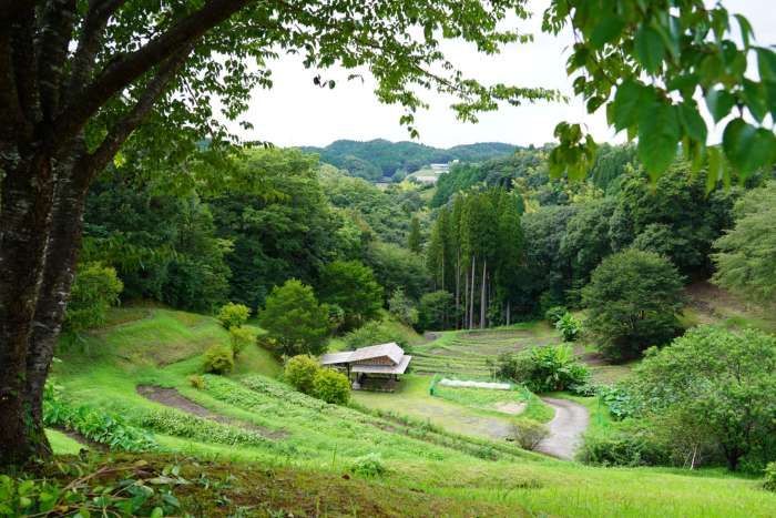 terraced fields near oki georeserve