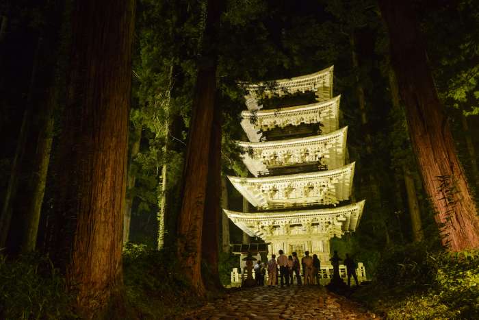 five stories pagoda at night
